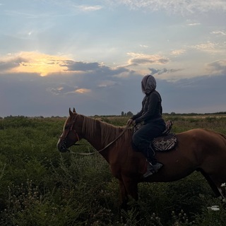 FARAH KAMAL